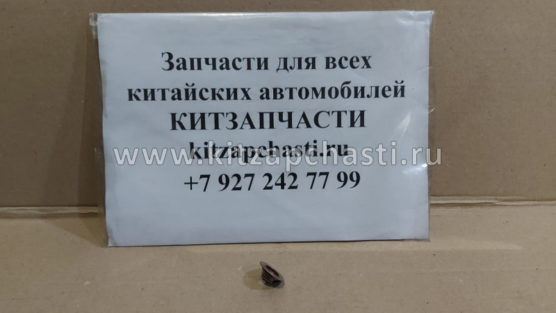 Колпачок маслосъемный выпускной Zotye T600 2.0 1007015006-B11