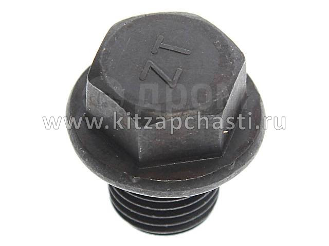 Пробка для слива масла JAC T6 1009104FE010