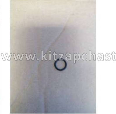 Кольцо уплотнительное головки блока цилиндров  Livan S6 PRO 1025045400