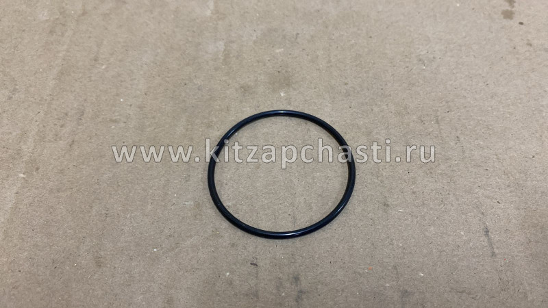 Кольцо уплотнительное насоса вакуумного Haval F7 2,0 3541101XED61