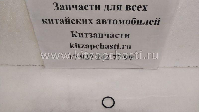 Кольцо уплотнительное фильтра Dong Feng H30 Cross АКПП 3862300