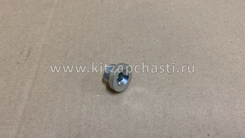 Пробка сливная и заливная коробки робот EXEED TXL  9009027315
